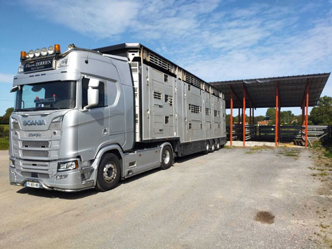 Camion de transport de porcs, Maison Derrien, Bretagne
