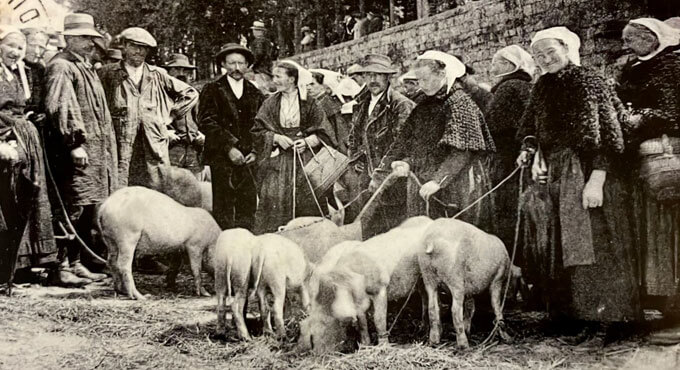 Marchés aux bestiaux, Bretagne